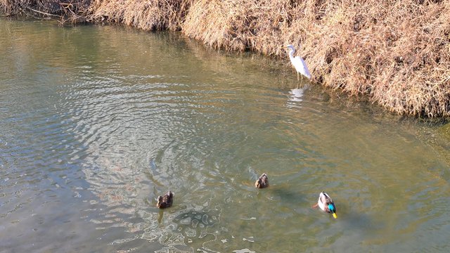 20220203_144240.jpg