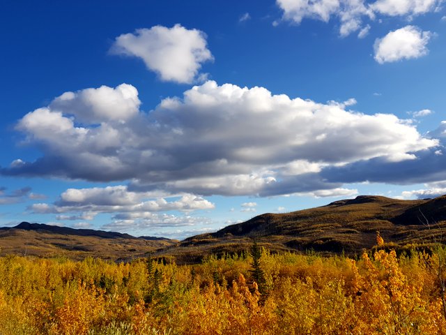 20170915_174152.jpg