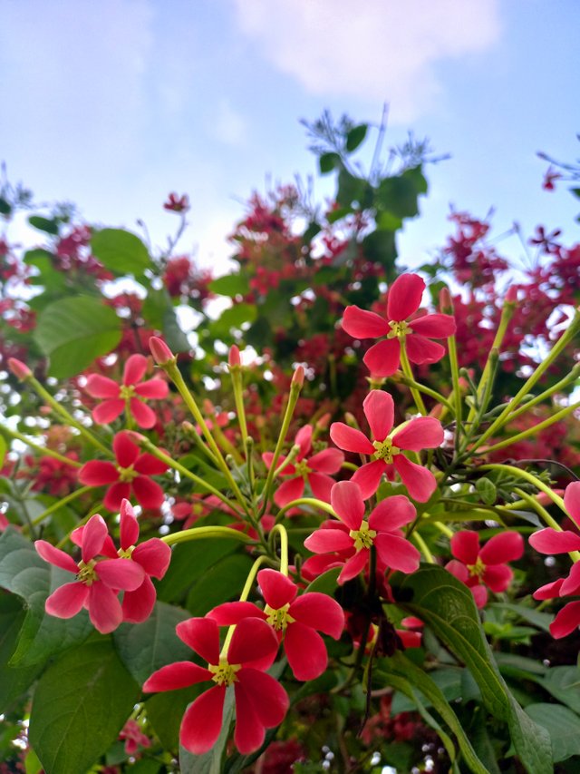 20220329_161904.jpg