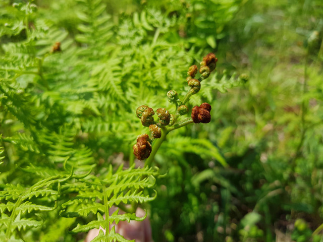 20180513_134016.jpg
