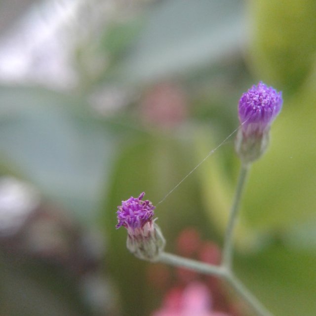 20230206_114200.jpg