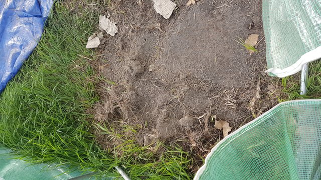 20181101_064129.jpg