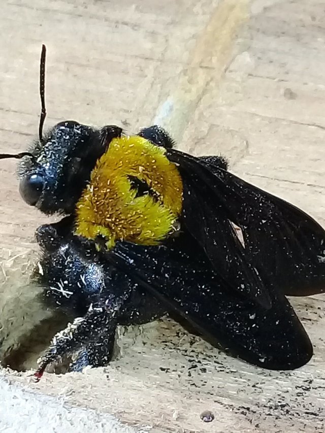 20180911_195708.jpg