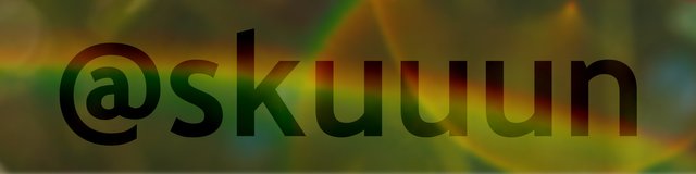 skuuun banner.jpg