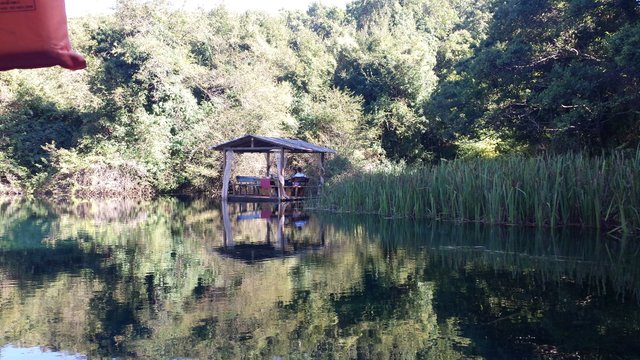 20140818_161351.jpg