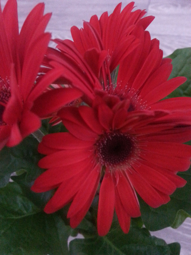 20180518_080317.jpg