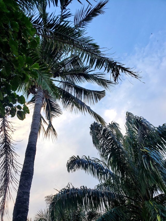 20220724_180237.jpg