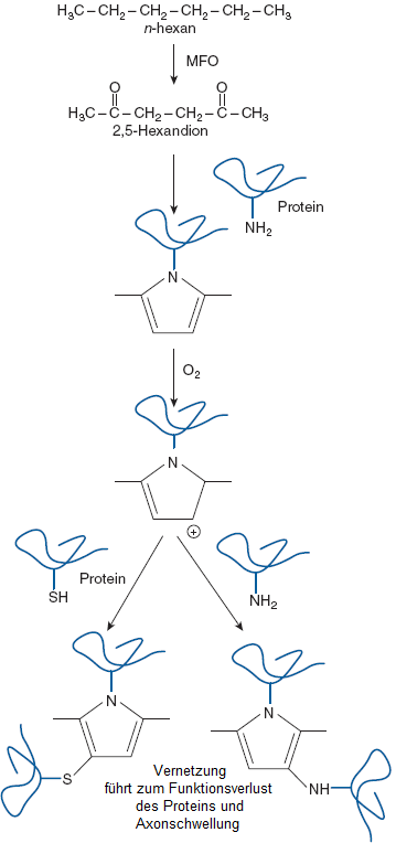 hexan-mechanism.png