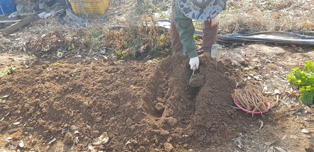 20201212_125110.jpg