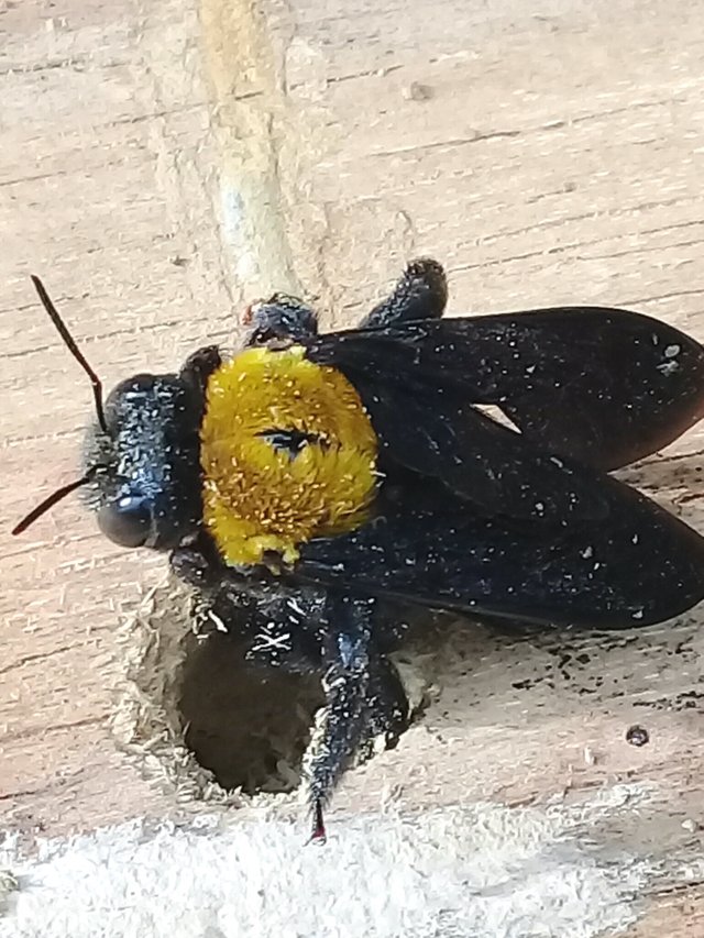 20180911_195803.jpg