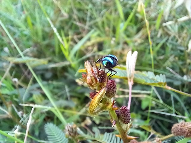 20210613_170116.jpg
