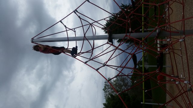 20190606_121353.jpg