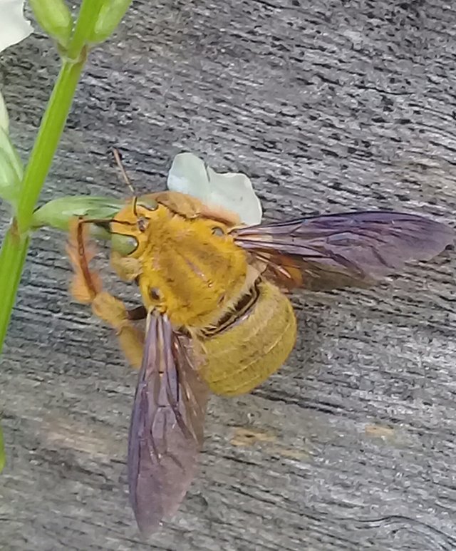 20180912_132729.jpg