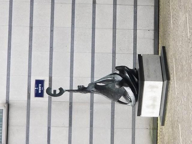20180516_144819.jpg