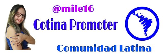 banner cotina.jpg