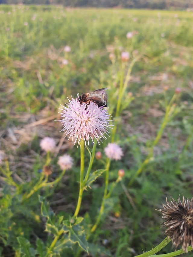 20220214_170657.jpg