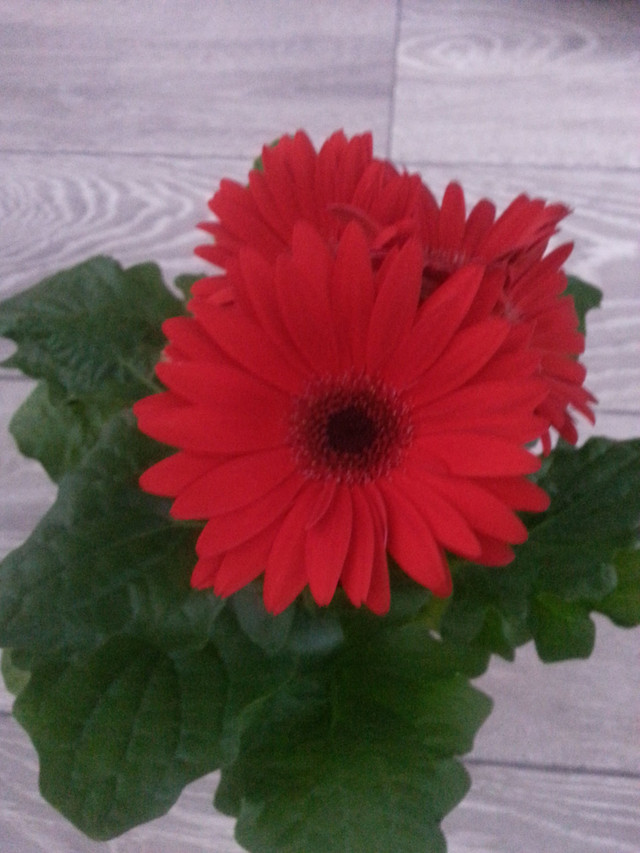 20180518_080254.jpg