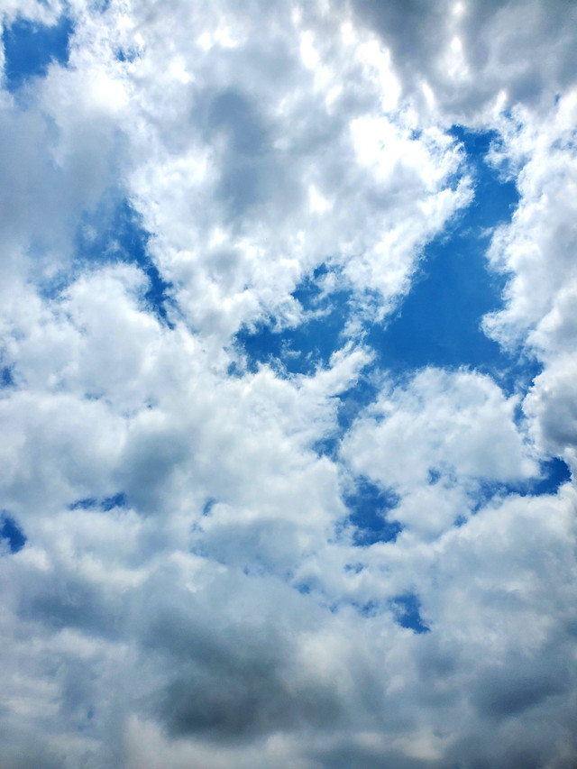 20220820_124829.jpg