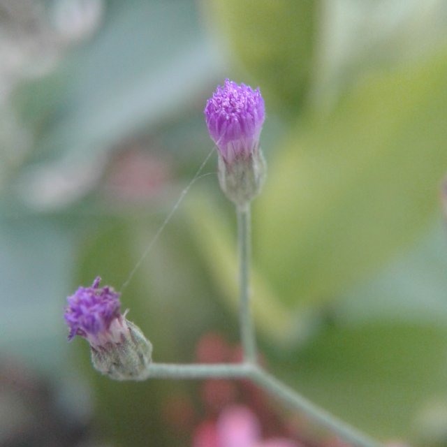 20230206_114150.jpg