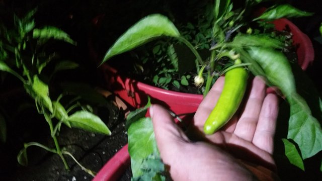 20180619_014150.jpg