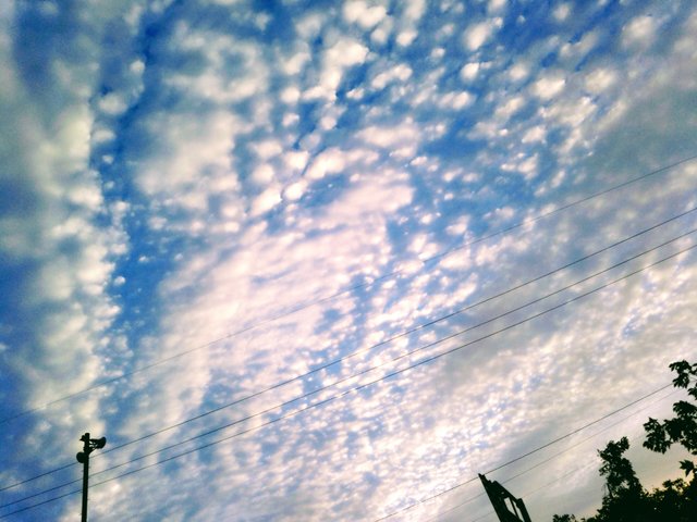 20181006_140147.jpg
