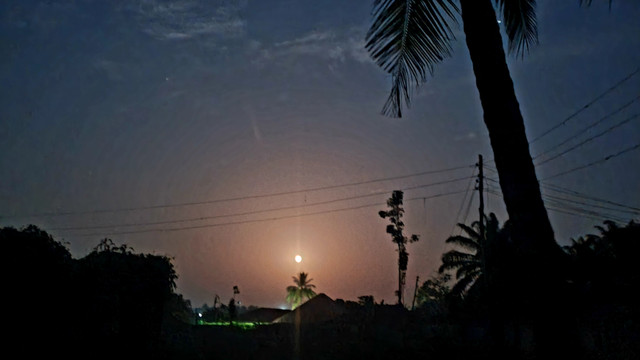 20261026_185103.jpg