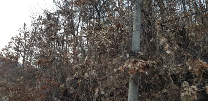 20181202_162714.jpg