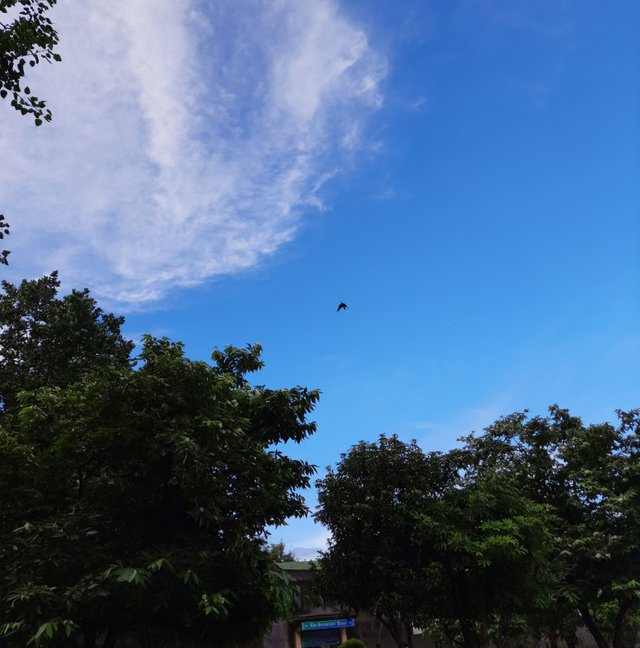 20220807_170038.jpg