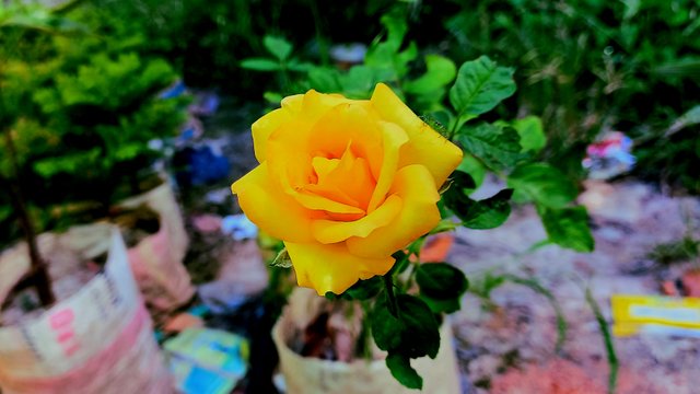 20220712_160033.jpg