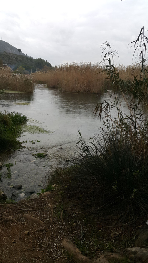 20171209_152928.jpg