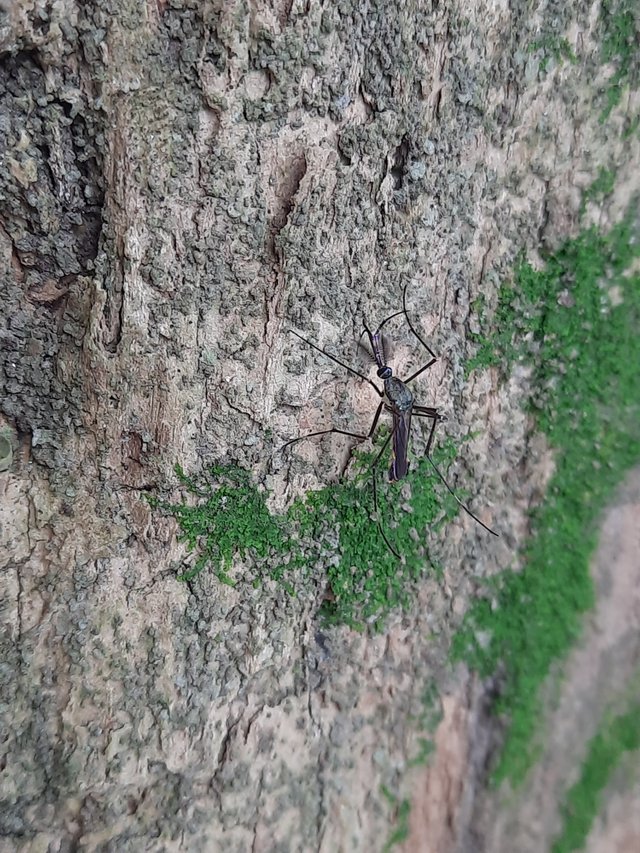 20220807_152051.jpg