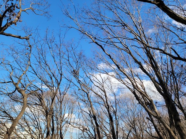 20220121_135130.jpg
