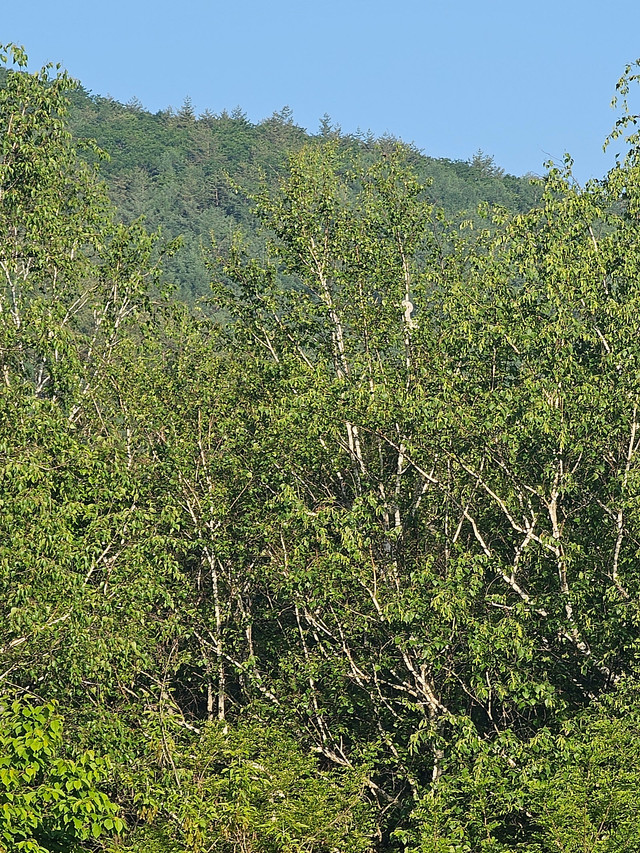 20260518_065043.jpg