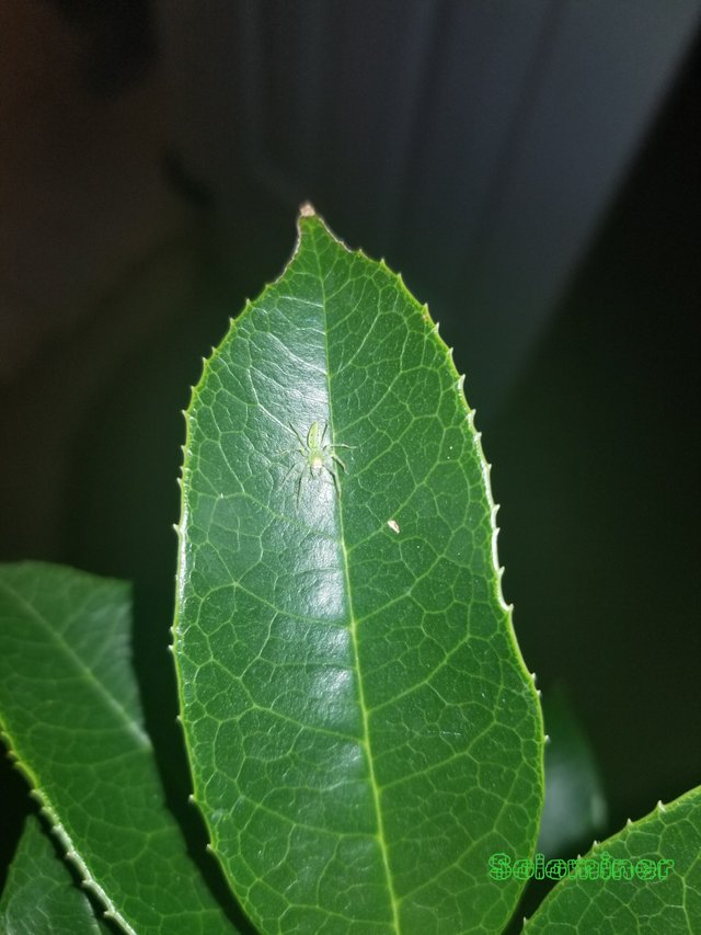 20181029_104825.jpg