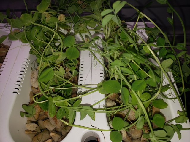20180924_011655.jpg