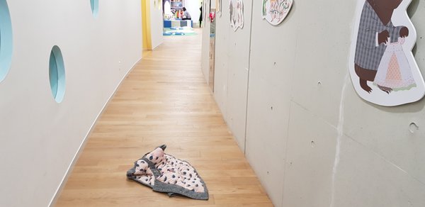 20190127_152830.jpg