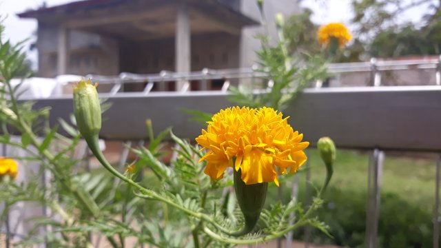 20180829_113825.jpg