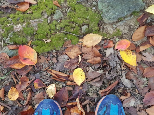 20181024_160039.jpg