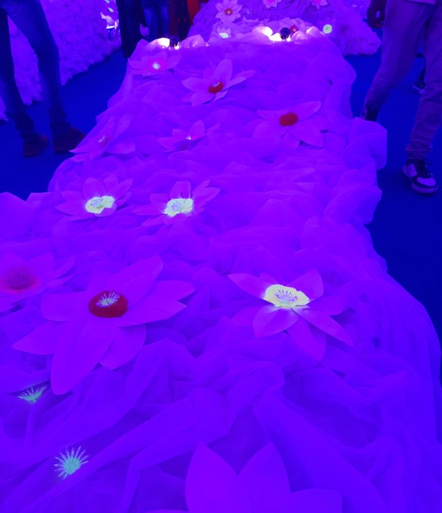 20221025_192953.jpg