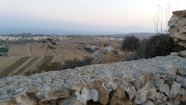 20190630_202602.jpg
