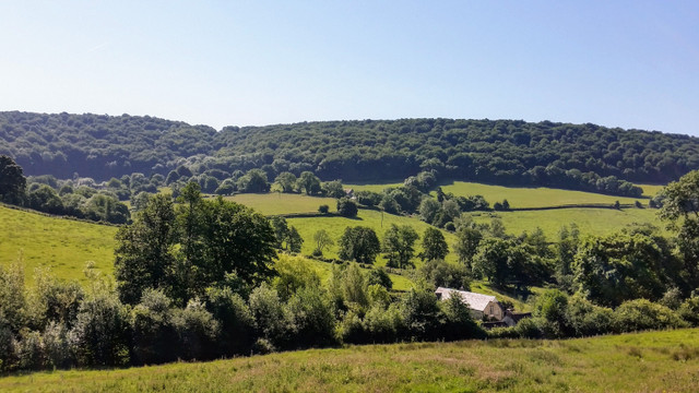 20170617_095718.jpg