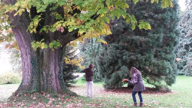 20151017_141948.jpg