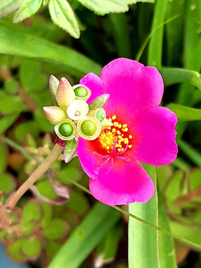 20220822_095011.jpg