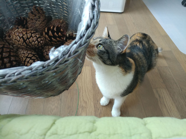 20180109_124903.jpg