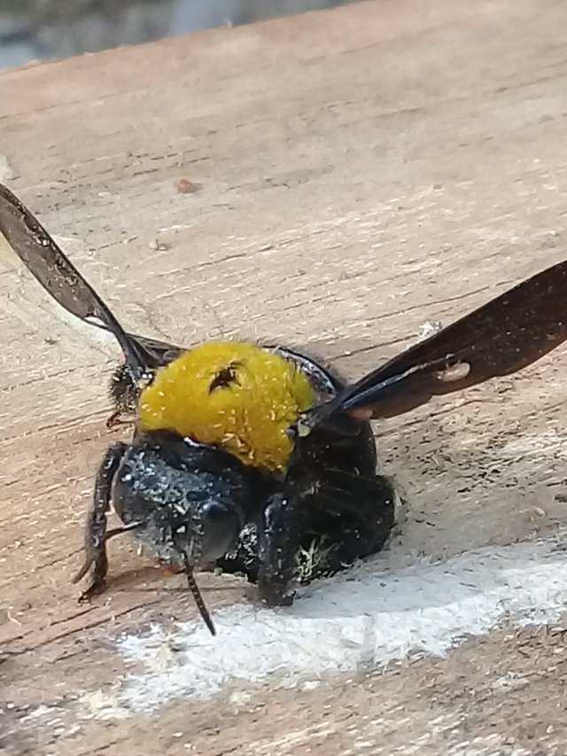 20180911_200134.jpg