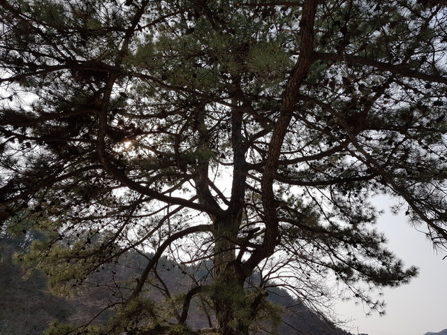 20180220_144013.jpg