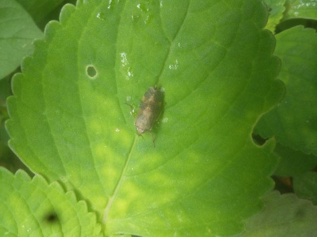 20180822_142656.jpg