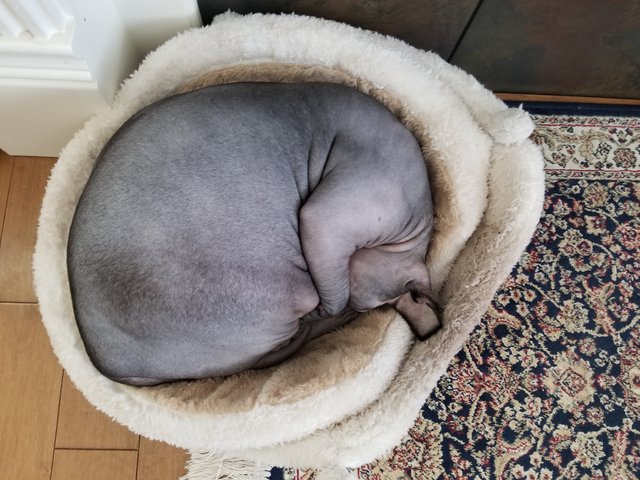 20181230_131241.jpg