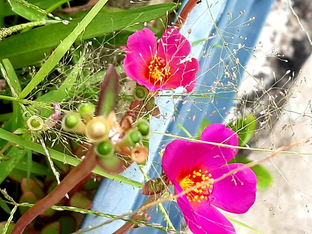 20220822_095025.jpg
