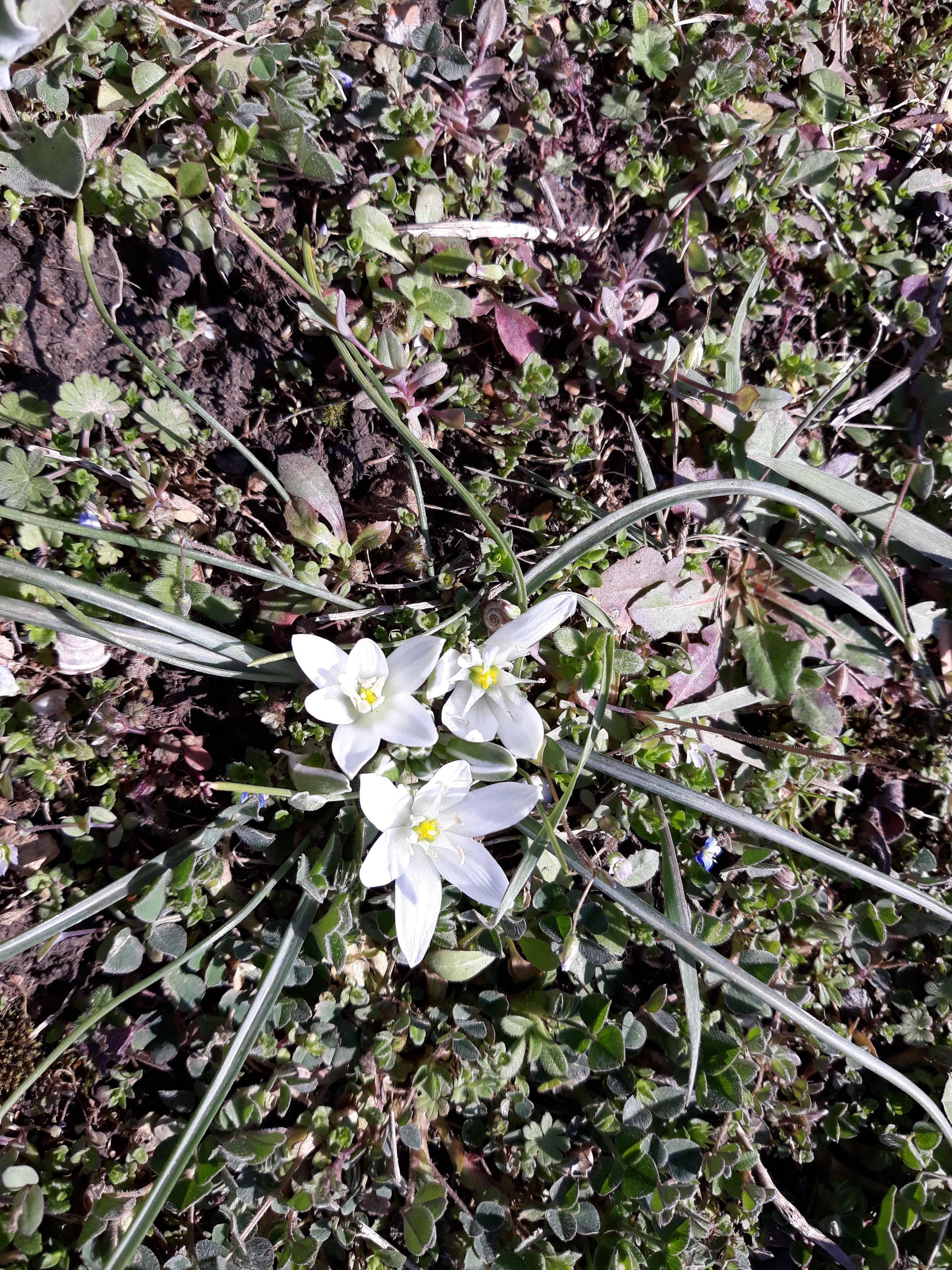 20180330_123912.jpg